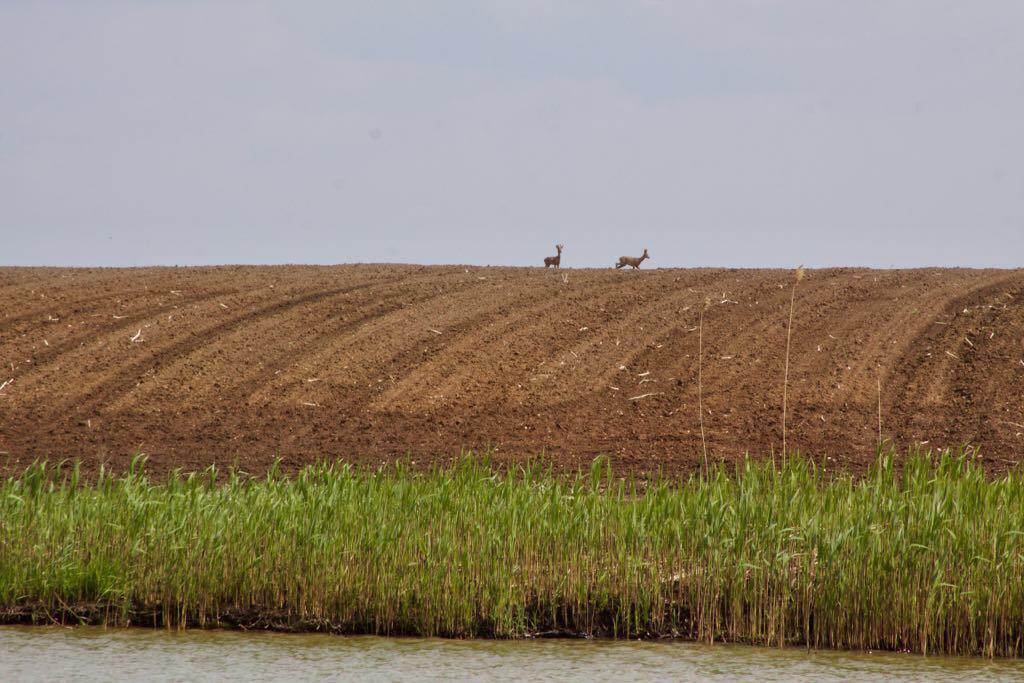 Lacul Teiu 21 - 23 aprilie 2017 - 10b.jpg